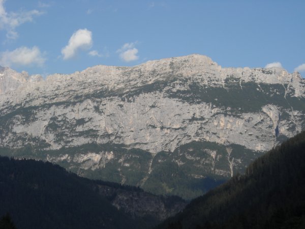 2015-08-06 Pelsa