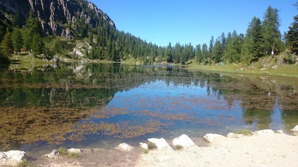 Lago
 Federa