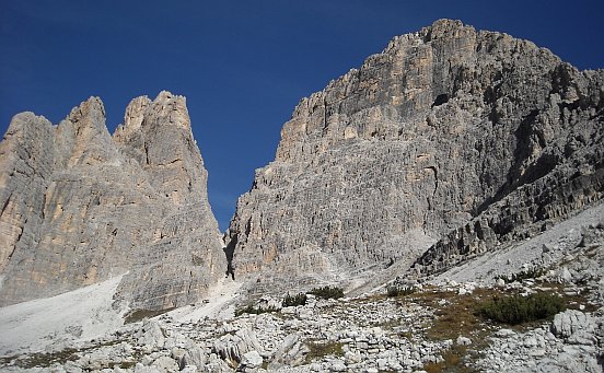 Forcella