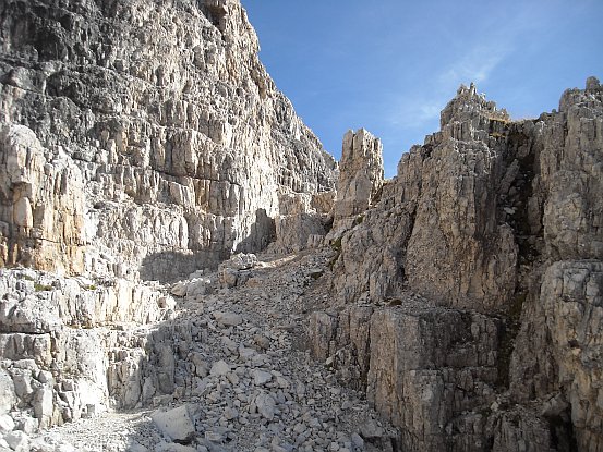 Forcella