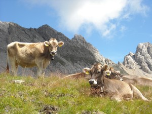 San Pellegrino