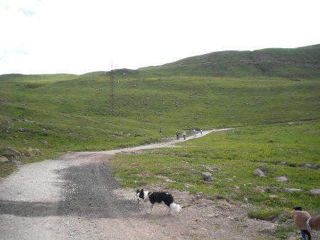 /treks/europe/it/bl/massiccio-cima-bocche/monte-pradazzo/col-margherita/sentiero.jpg