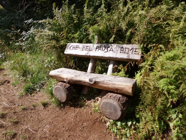 Panca
