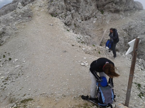 Forcella
