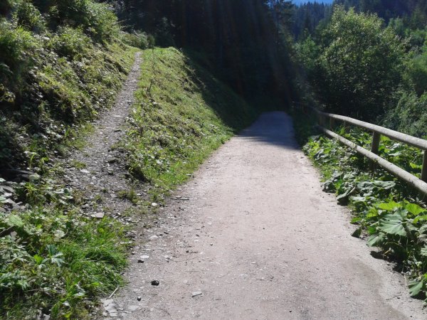 Bivio
