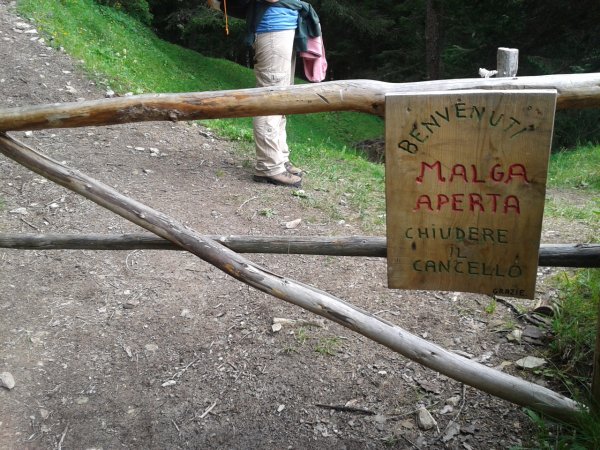 Cancello
