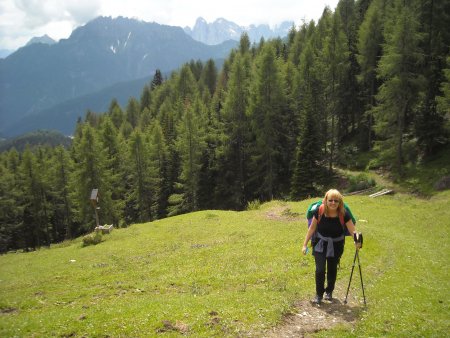 /treks/europe/it/bl/val-biois/sponda-sinistra/bosc-brusa/radura-e-bosco.jpg