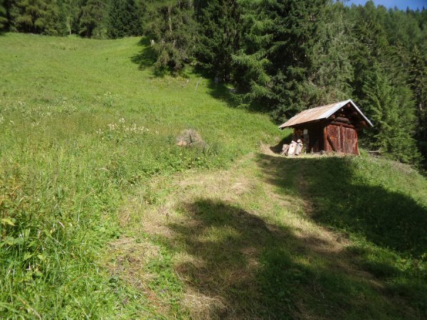 Radura e piccola baita
