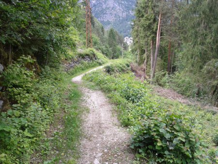 /treks/europe/it/bl/val-cordevole/agordo/falesia-del-forte/sentiero.jpg