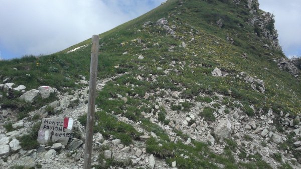 Bivio per Monte Pavione
il sentiero delle creste