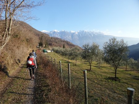 In cammino
verso Cadignano