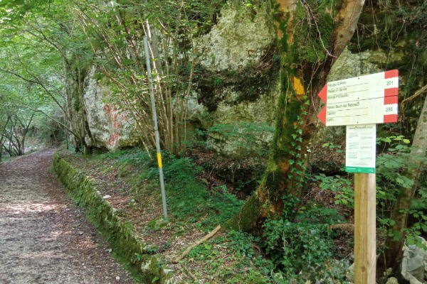 Inizio sentiero n°201
presso parcheggio loc. "Verghere"