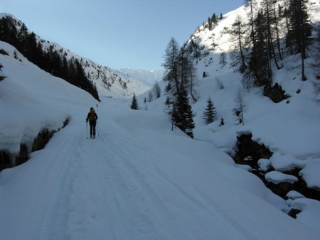 Strada forestale