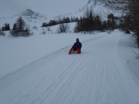Discesa in slittino
