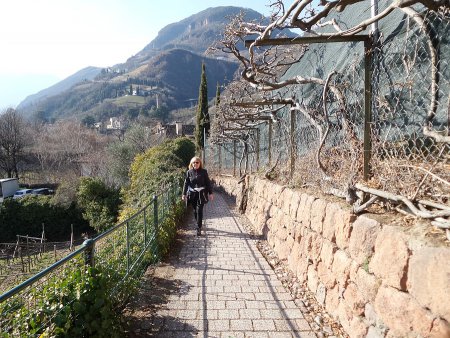 Passeggiata di Sant'Osvaldo
