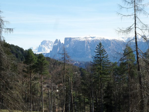 Panoramacon lo Schlern / Sciliar