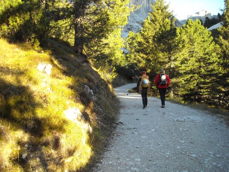 /treks/europe/it/bz/catinaccio/cima-catinaccio/cima-catinaccio-kiene/sentiero.jpg