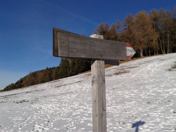 Bivio

