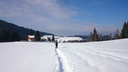 Sentiero n.2 in vista di malga Monte S.Pietro