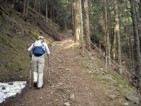 /treks/europe/it/bz/dolomiti-fiemme/altopiano-nova-ponente/pietralba-1/dscn4303/image.jpg