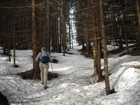 /treks/europe/it/bz/dolomiti-fiemme/altopiano-nova-ponente/pietralba-1/dscn4314/image.jpg