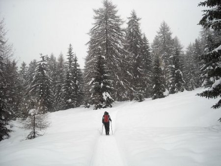 /treks/europe/it/bz/dolomiti-fiemme/altopiano-nova-ponente/pietralba/dscn3542/image.jpg