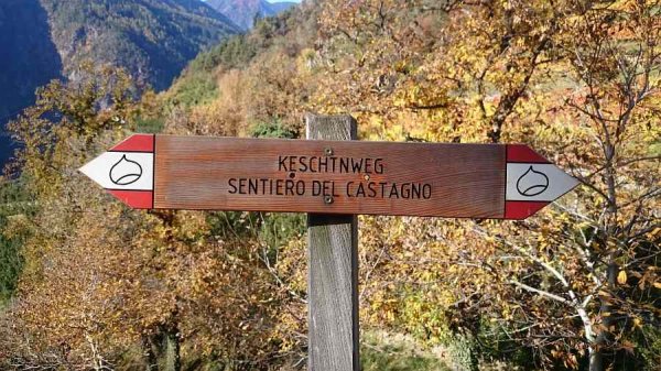 Segnavia
lungo il sentiero del castagno