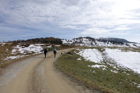 lungo il sentiero
verso Astjoch / Giogo d'Asta