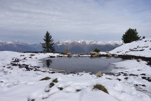 Stagno
e vista verso le Zillertaler Alpen