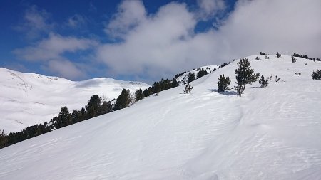 salita uscendo dal bosco