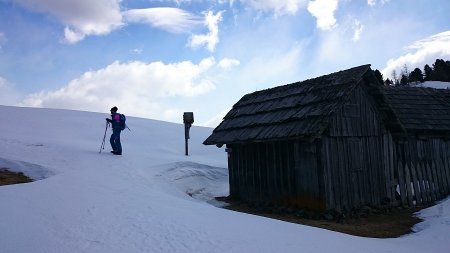 Astalm casupole in legno