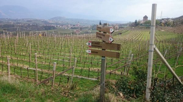 Segnavia
lungo il sentiero n.14