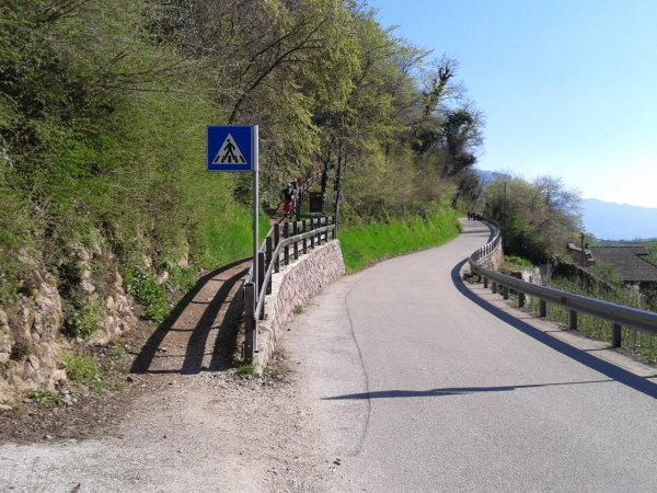 Bivio
