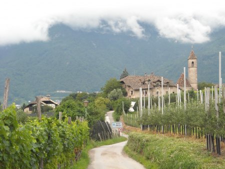 /treks/europe/it/bz/oltradige/caldaro/valle-della-primavera/monticolo.jpg