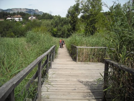 /treks/europe/it/bz/oltradige/caldaro/valle-della-primavera/passerella.jpg