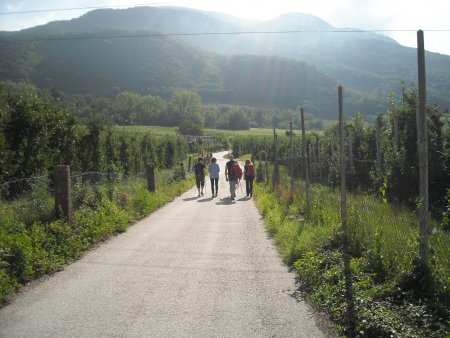 /treks/europe/it/bz/oltradige/caldaro/valle-della-primavera/stradina.jpg