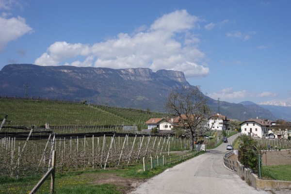 Lungo l'itinerariocon il Monte Macaion sullo sfondo