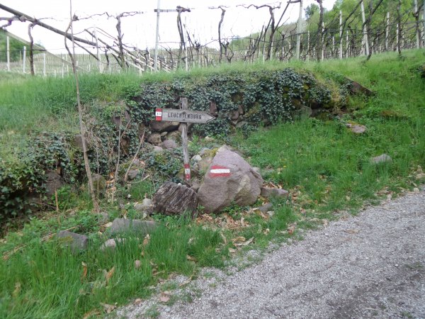 Bivio
