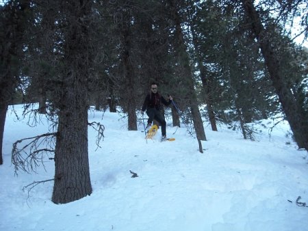 /treks/europe/it/bz/sarntaler-alpen/ostkamm/karspitze/discesa.jpg