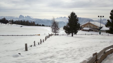 uno sguardo indietro verso Gasser Hütte