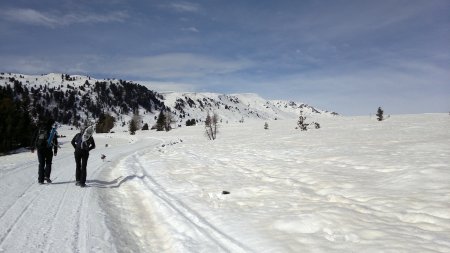 un altopiano di neve