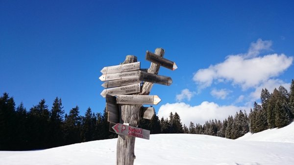 Bivio
nei pressi della malga Möltener Kaser