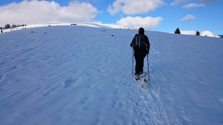 in vista della cima