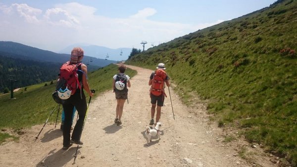 Innesto 
con la strada forestale che proviene dal rifugio Kuhleinten
