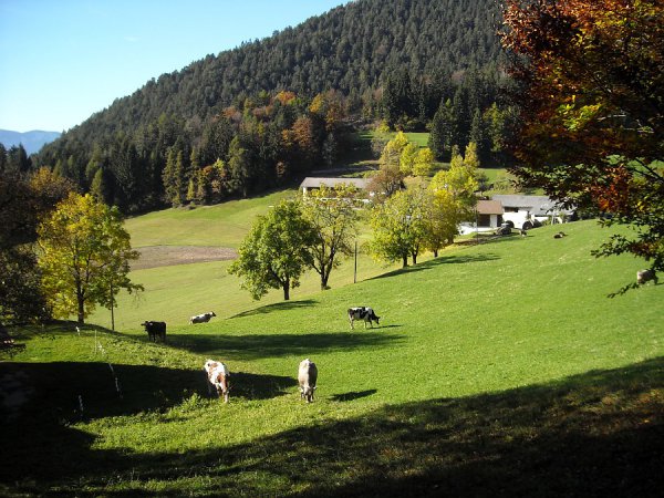 /treks/europe/it/bz/val-d-adige/boh/lago-bianco/dscn7256/image.jpg