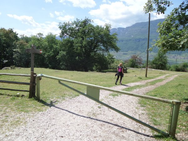 Bivio
