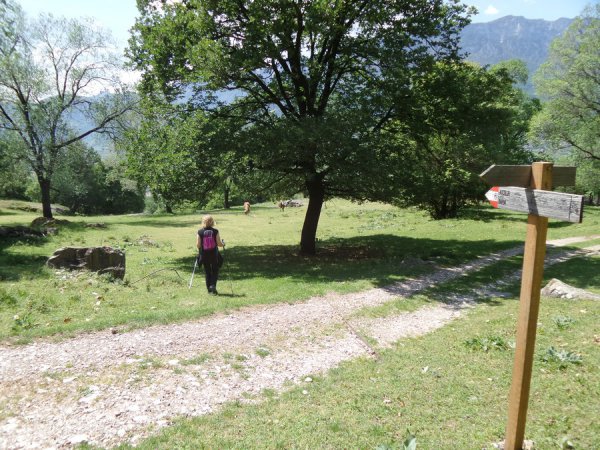 Bivio
