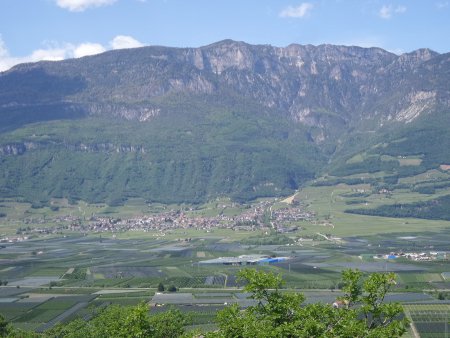Panorama verso Termeno e il Monte Roen
