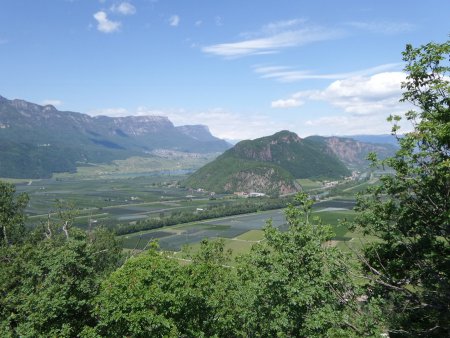 Panorama verso Monte di Mezzo, Lago di Caldaro, Penegal e Macaion