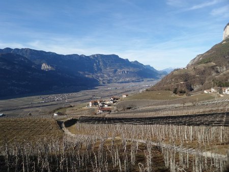 Panorama
da Buchholz / Pochi di Salorno